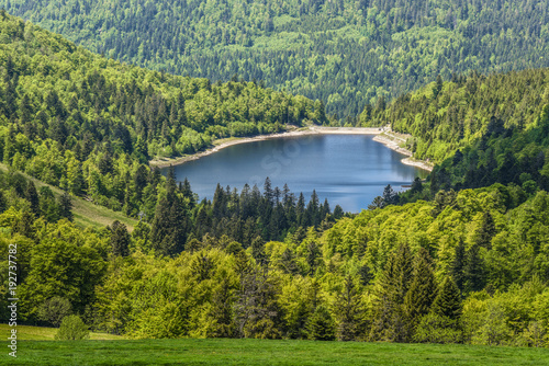Fototapeta Naklejka Na Ścianę i Meble -  Idyllic lake (Le lac de la lande) surrounded by green forest, landscape in french Alsace on Route of Crete, France, Europe 