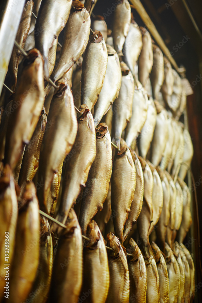 Several rows of tasty smoked herrings or other fish hanging on wires
