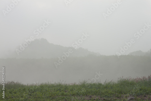 Landscape nature of plantation with mountain and Foggy on morning time.