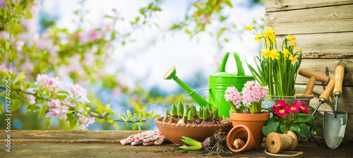 Fototapeta Naklejka Na Ścianę i Meble -  Gardening tools and spring flowers on the terrace