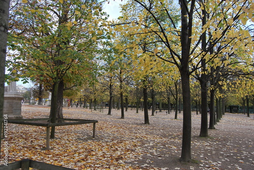 church, cathedral, arquitecture, europe, castle, buildings, spain, france, paris, statue, clock, park, autum, 