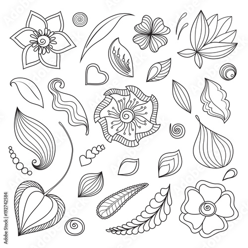 Set of floral elements. The magic drawn flowers and plants for decoration