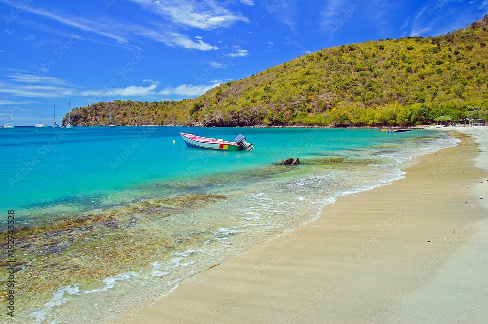 Obraz premium Boat in secluded bay of Union Island, Caribbean Sea region, Lesser Antilles