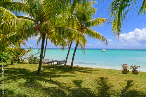 Palm trees on beautiful beach  Mauritius Island
