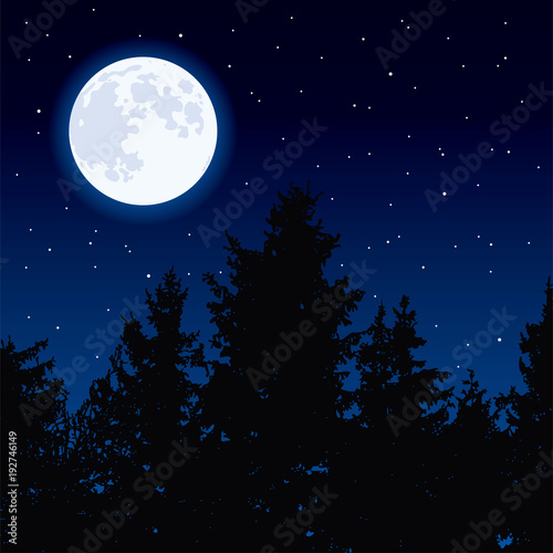 vector  moon in night sky and forest trees