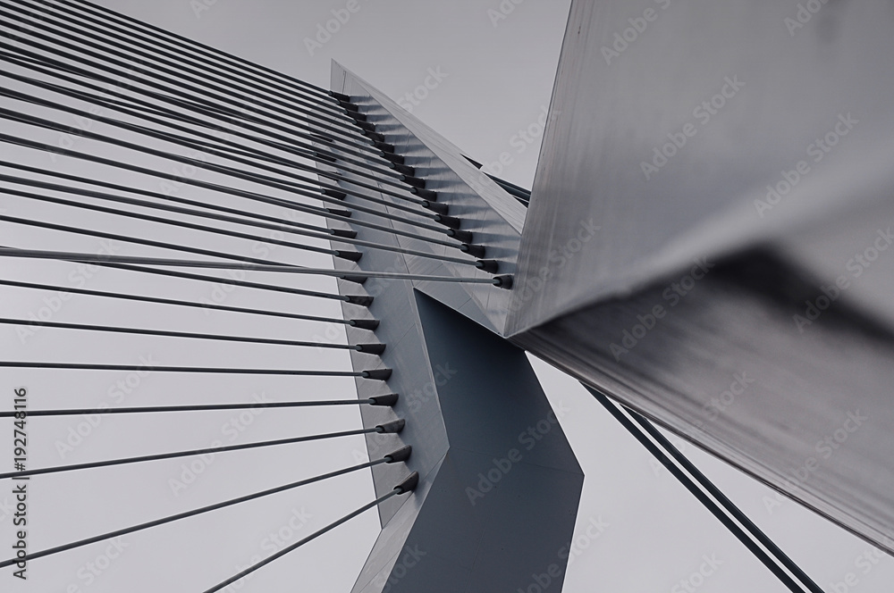 Obraz premium Erasmusbrug Erasmus Bridge in Rotterdam