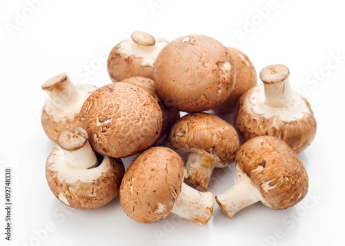 group of whole mushrooms isolated on white background