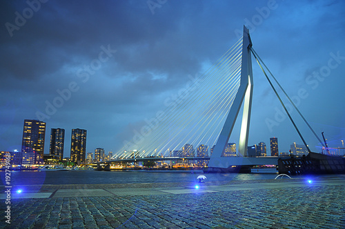 Erasmusbrug Erasmus Bridge in Rotterdam