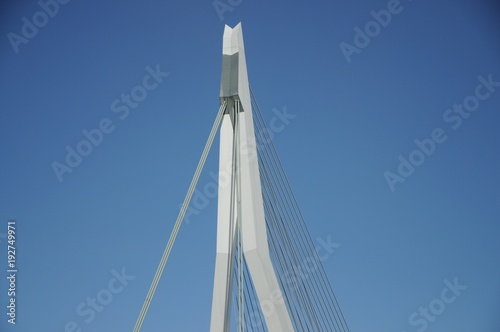 Erasmusbrug Erasmus Bridge in Rotterdam © Ricardo