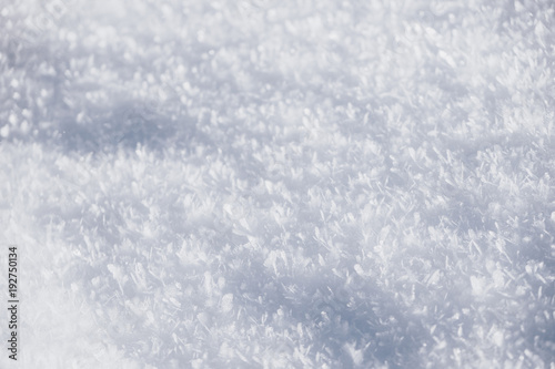 Glitzernde Schneedecke im Thüringer Wald