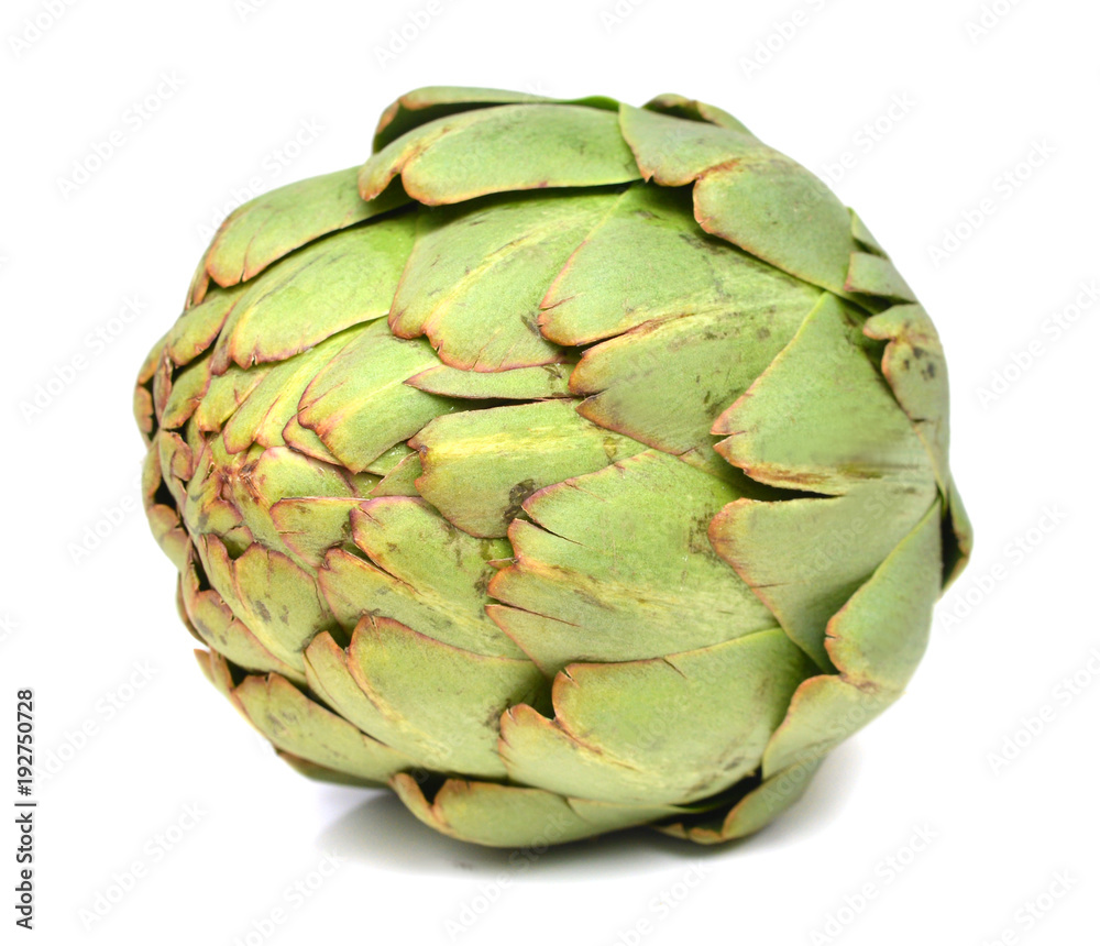 Obraz premium Fresh Artichokes isolated on white background