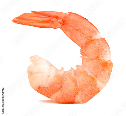 One cooked unshelled tiger shrimp isolated on white photo