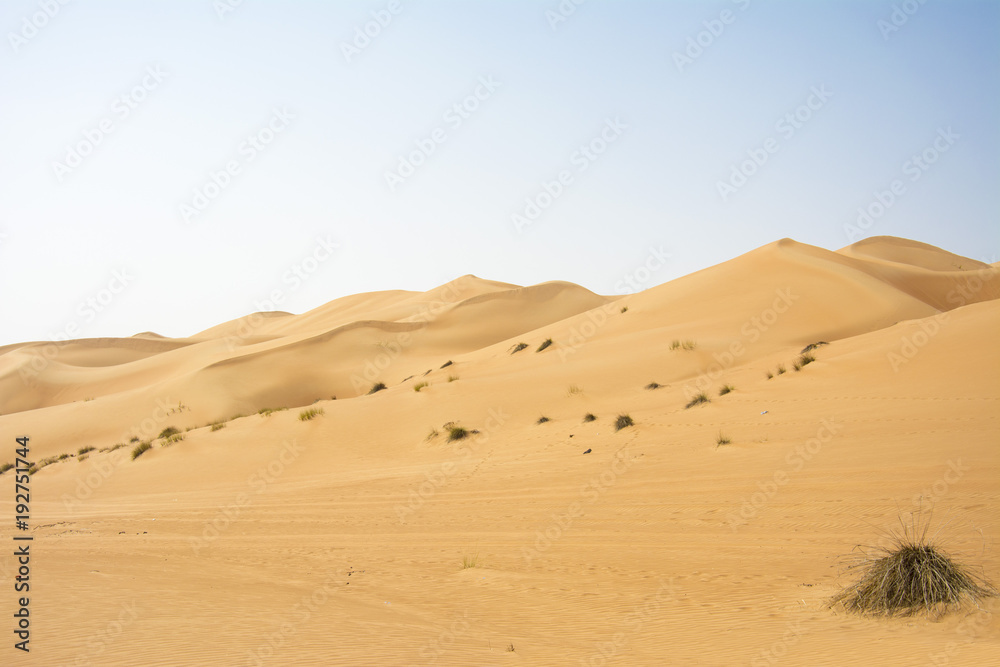 Fototapeta premium Wahiba Wüste in Oman