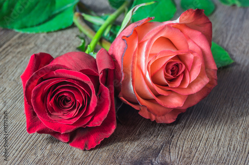 Rote Rosen
