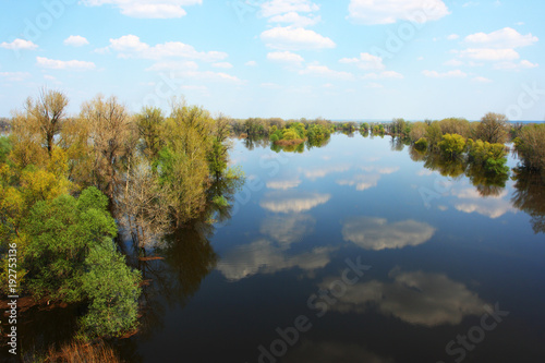 Blue sky with heap clouds reflecting in the flooded river overgrown by the lush inundated forest in May © argot