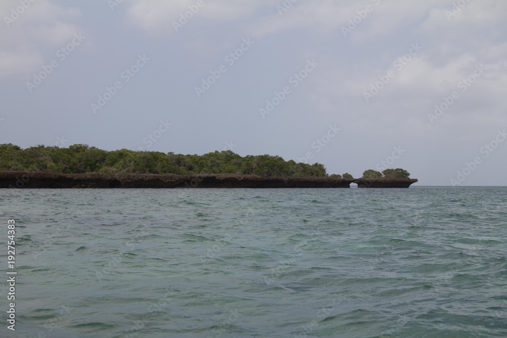 Island near Zanzibar, Tanzania (Africa)