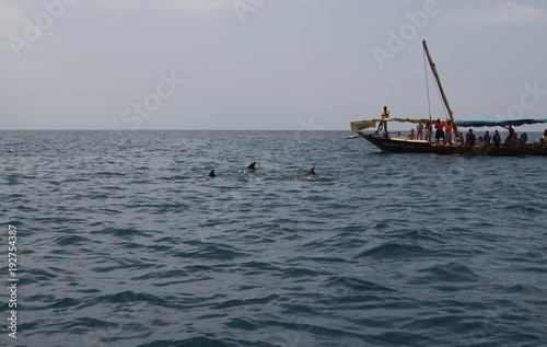 Tourists on a dolphin watching trip in Zanzibar, Tanzania (Africa)