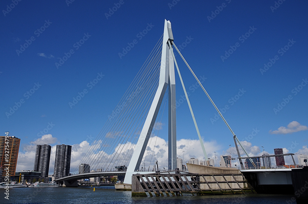 Erasmusbrug Erasmus Bridge in Rotterdam