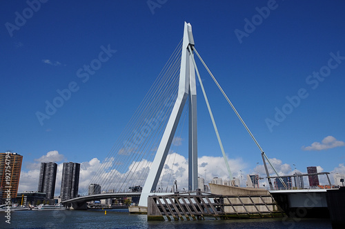 Erasmusbrug Erasmus Bridge in Rotterdam © Ricardo