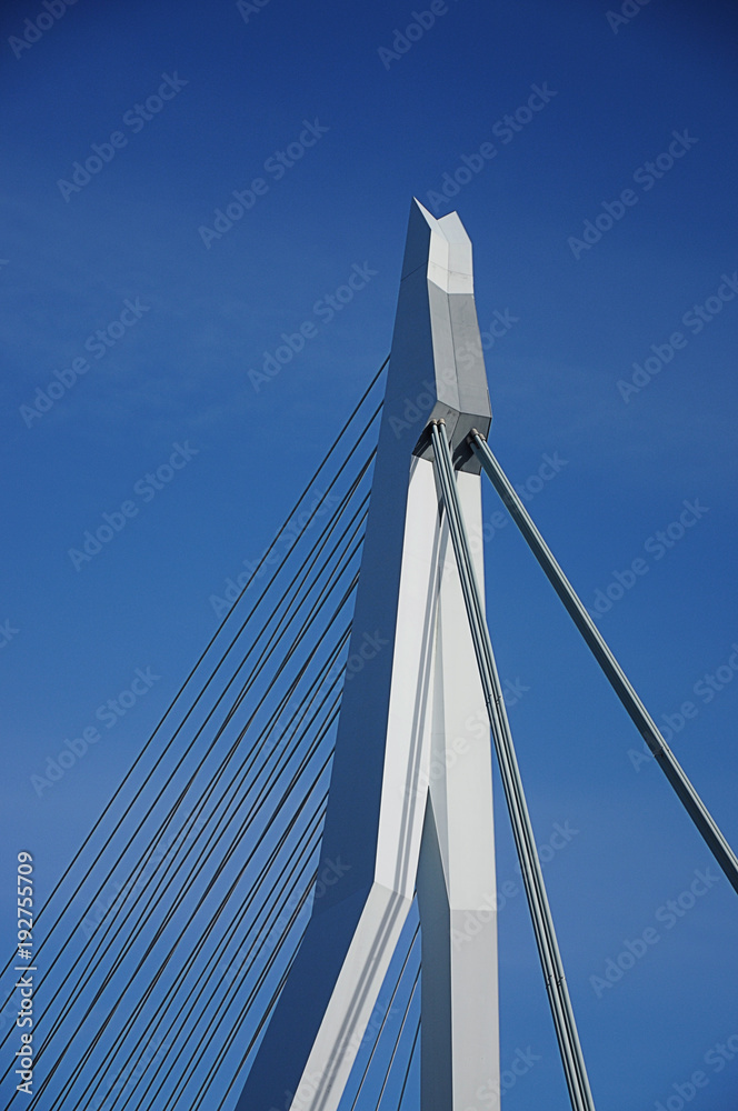 Erasmusbrug Erasmus Bridge in Rotterdam