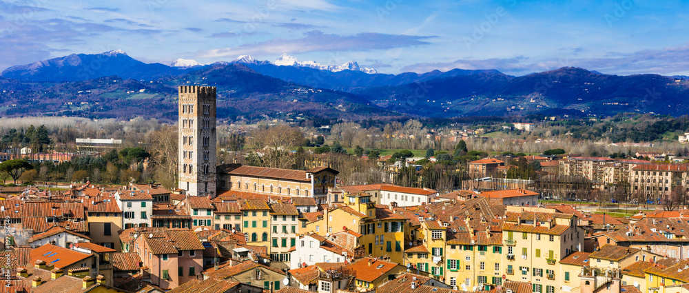 Landmarks of Italy - beautiful medieval town Lucca in Tuscany. City view from Guinigi tower