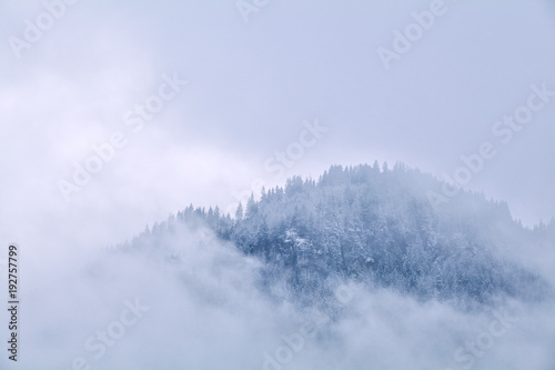 mountains top in winter fog