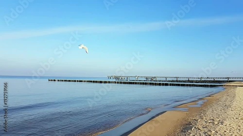 Fliegende Möwen in Slow Motion am Strand an der Ostsee