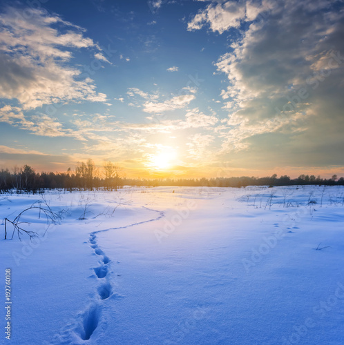 winter snowbound plain at the sunset