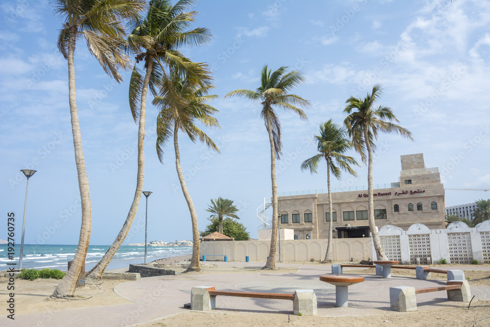 Palmen am Strand in Oman