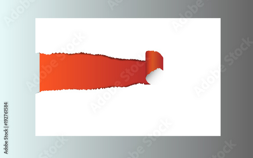 Ripped paper. Vector of ripped paper. the paper was ripped background.