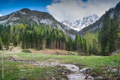 Alpine Meadow Martuljska Planina in Julian Alps in Slovenia
