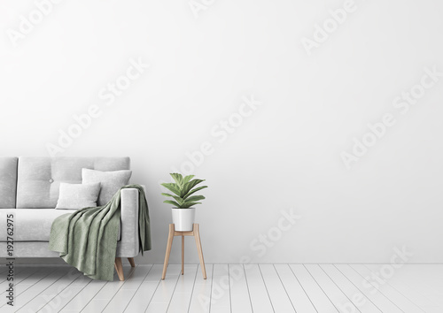 Living room interior with gray velvet sofa, pillows, green plaid, lamp and fiddle leaf tree in wicker basket on white wall background. 3D rendering. photo