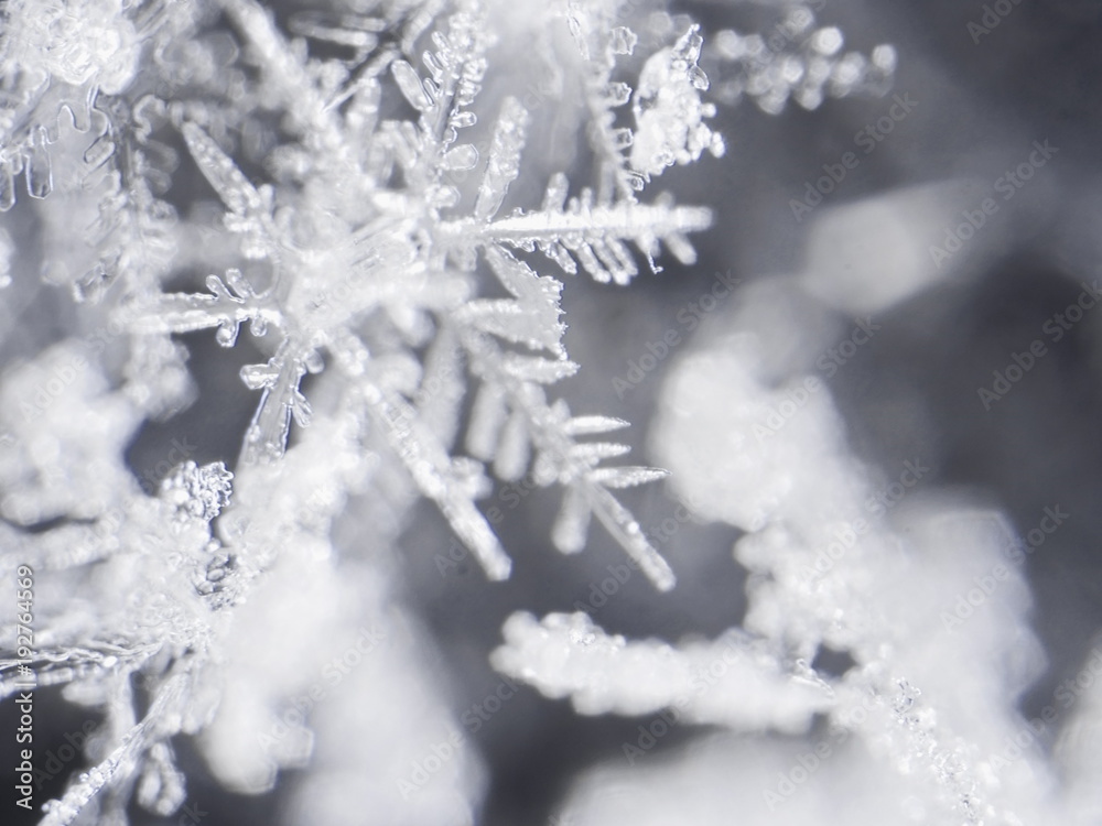 real snowflake real snowflake