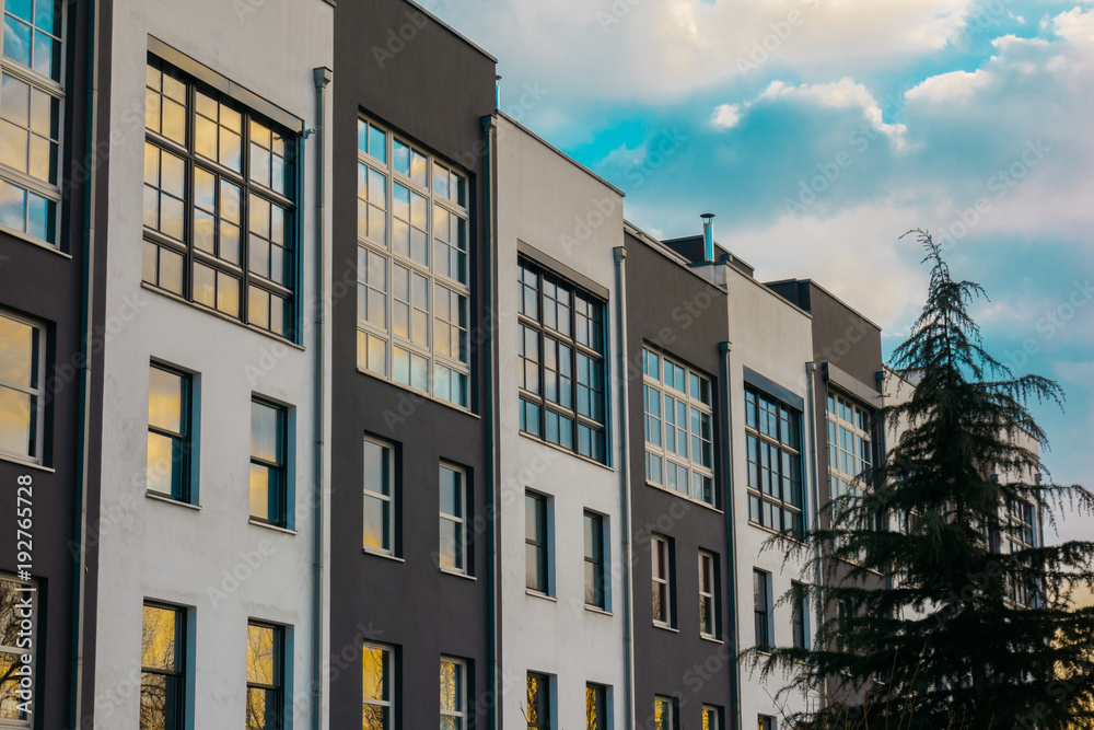 Naklejka premium white and black townhouses with fir tree on the right side