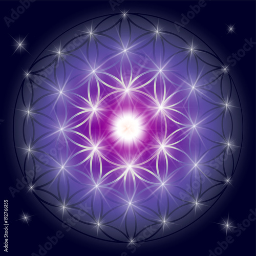 Sacred geometry illustration: Flower of Life, also known as Seed of Life or The Pattern of Creation. Flower of Life symbol represents patterns of life as they emerge from the great void. photo