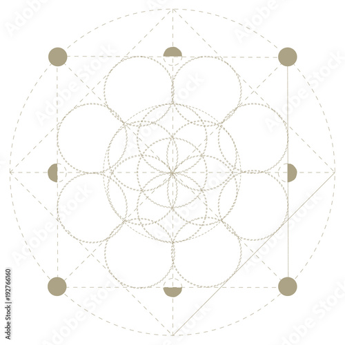 Vector sacred geometry symbol: Seed of Life, the precursor of the Flower of Life or The Pattern of Creation. Seed of Life foreshadowing patterns of life from the great Creator, known as Architect.