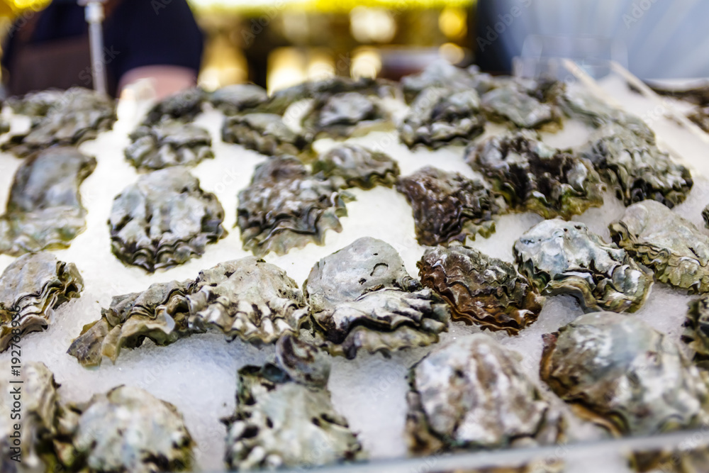 Naklejka premium Fresh oysters lying on the ice.