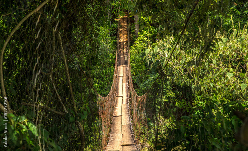 wood bridge national park brazil photo