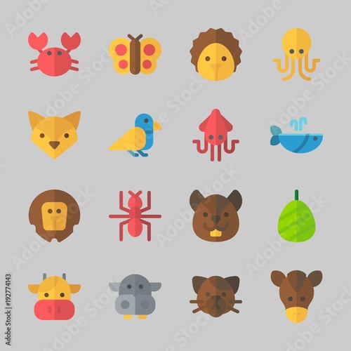 Fototapeta Naklejka Na Ścianę i Meble -  Icons about Animals with squirrel, squid, octobus, lion, hippopatamus and fox