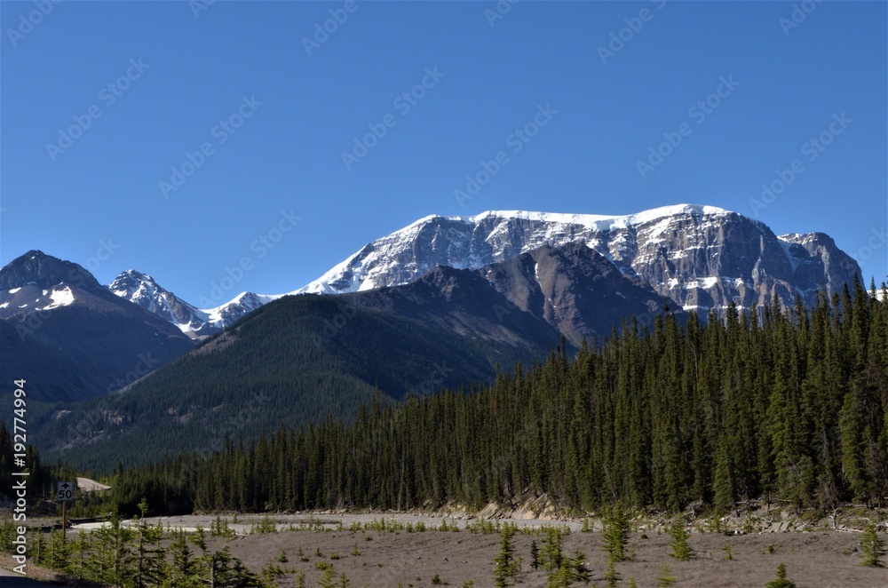 The beautiful nature of The Bow River Valley in Banff National Park canada 