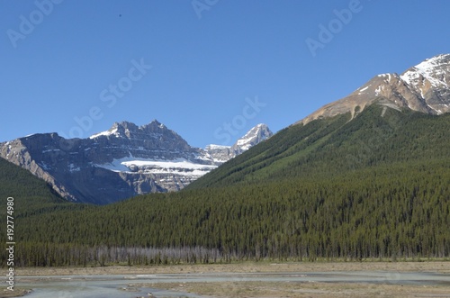 The beautiful nature of The Bow River Valley in Banff National Park canada 