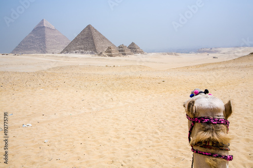 The ancient pyramids of Giza, Cairo, Egypt