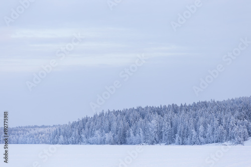 Minimalistic winter lake landscape cloudy day background