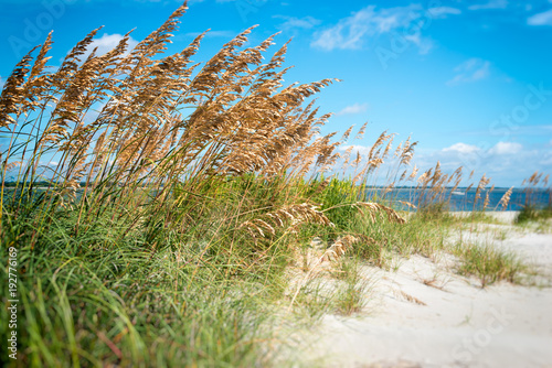 Canvas Print ocean scenes and landscapes