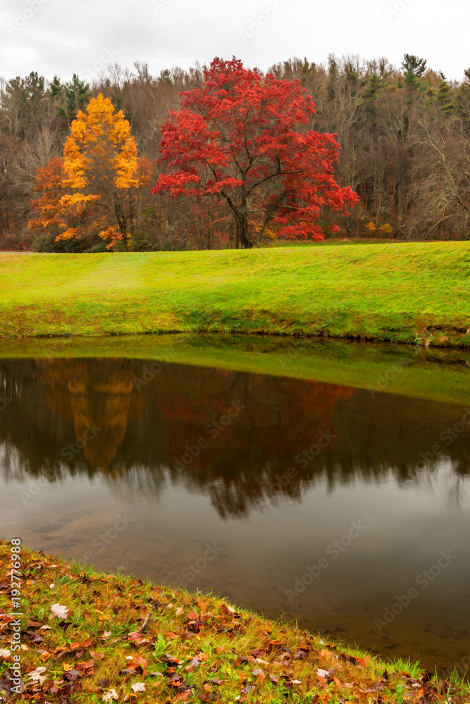 fall colors and landscape scenes