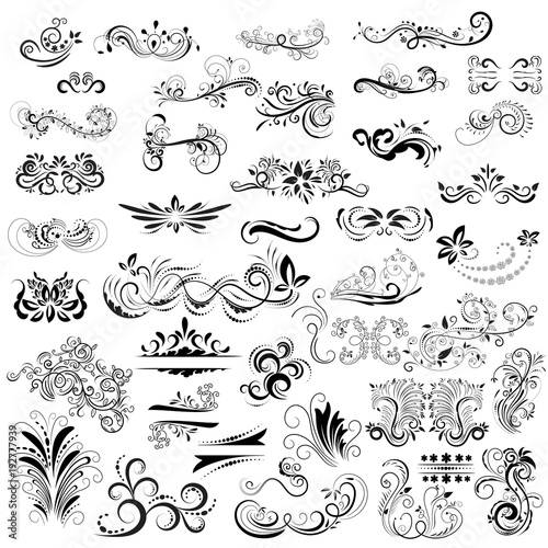 Hand drawn calligraphic scrolls, ornaments, floral decoration collection, vector illustration