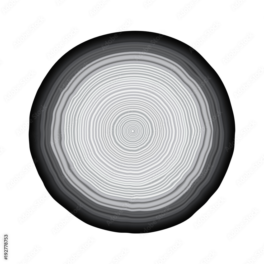 Round piece of wood with tree rings in vector format. Black white and ...