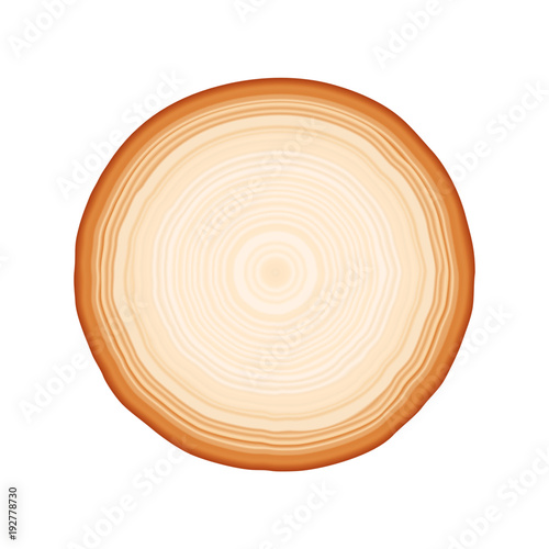 Round piece of wood with tree rings in vector format. Brown and tan neutral circle natural background