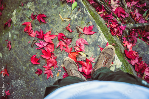 Male foot asians travel relax in the holiday.Standing on a maple leaf in red. Fallen on the floor. In Thailand photo