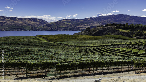 Lake Chelan area winery